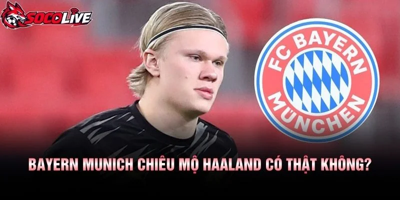 Bayern Munich Chiêu Mộ Haaland Có Thật Không?