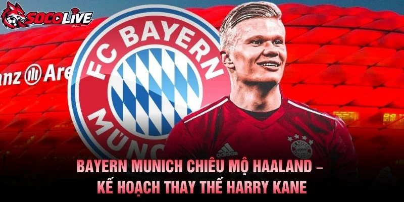 Bayern Munich Chiêu Mộ Haaland – Kế Hoạch Thay Thế Harry Kane