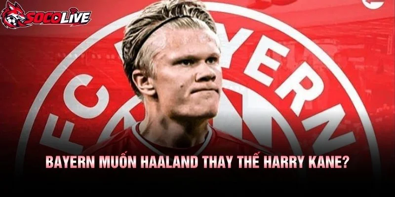 bayern-muon-haaland-thay-the-harry-kane?