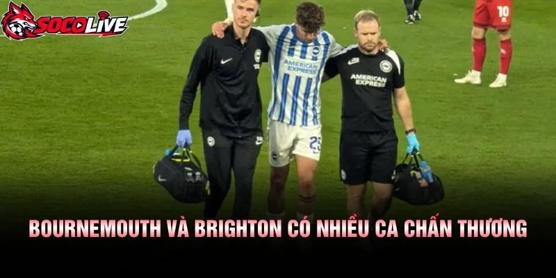 Bournemouth Và Brighton Có Nhiều Ca Chấn Thương