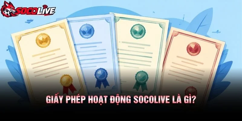 Giấy Phép Hoạt Động Socolive Là Gì?