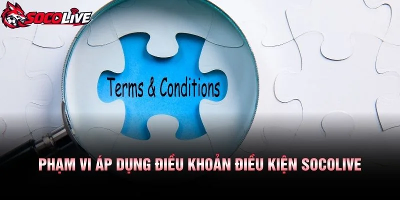 Phạm Vi Áp Dụng Điều Khoản Điều Kiện Socolive