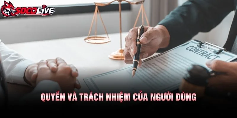 Quyền Và Trách Nhiệm Của Người Dùng