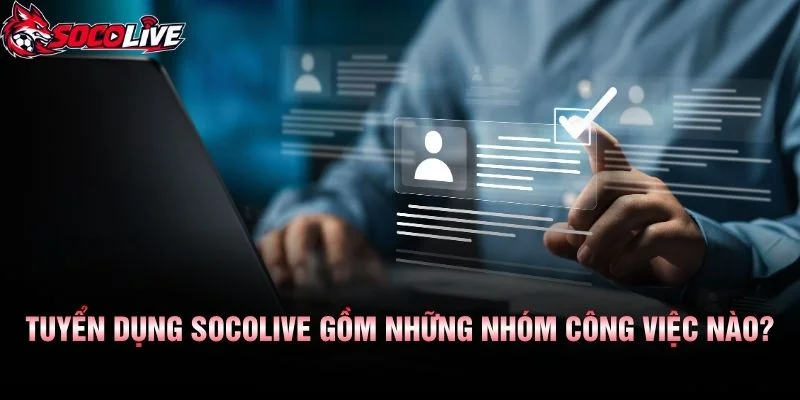 Tuyển Dụng Socolive Gồm Những Nhóm Công Việc Nào?